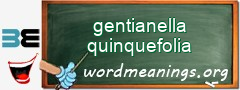 WordMeaning blackboard for gentianella quinquefolia